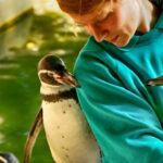 Tierpfleger mit Humboldtpinguin im Zoo Rostock 3