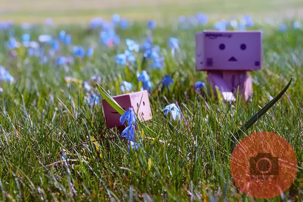 Danbo und Mini Danbo in blauen Blumen
