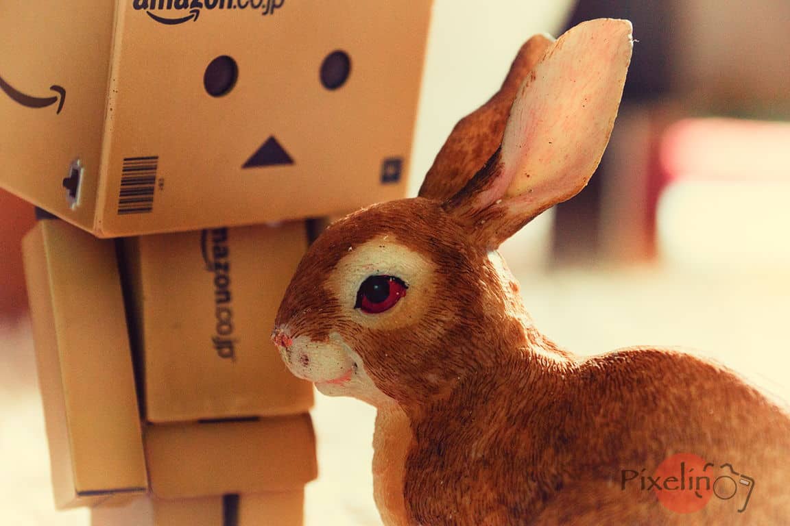Danbo und der Osterhase