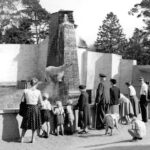 Zoo Rostock Bärenburg Neubau 1959