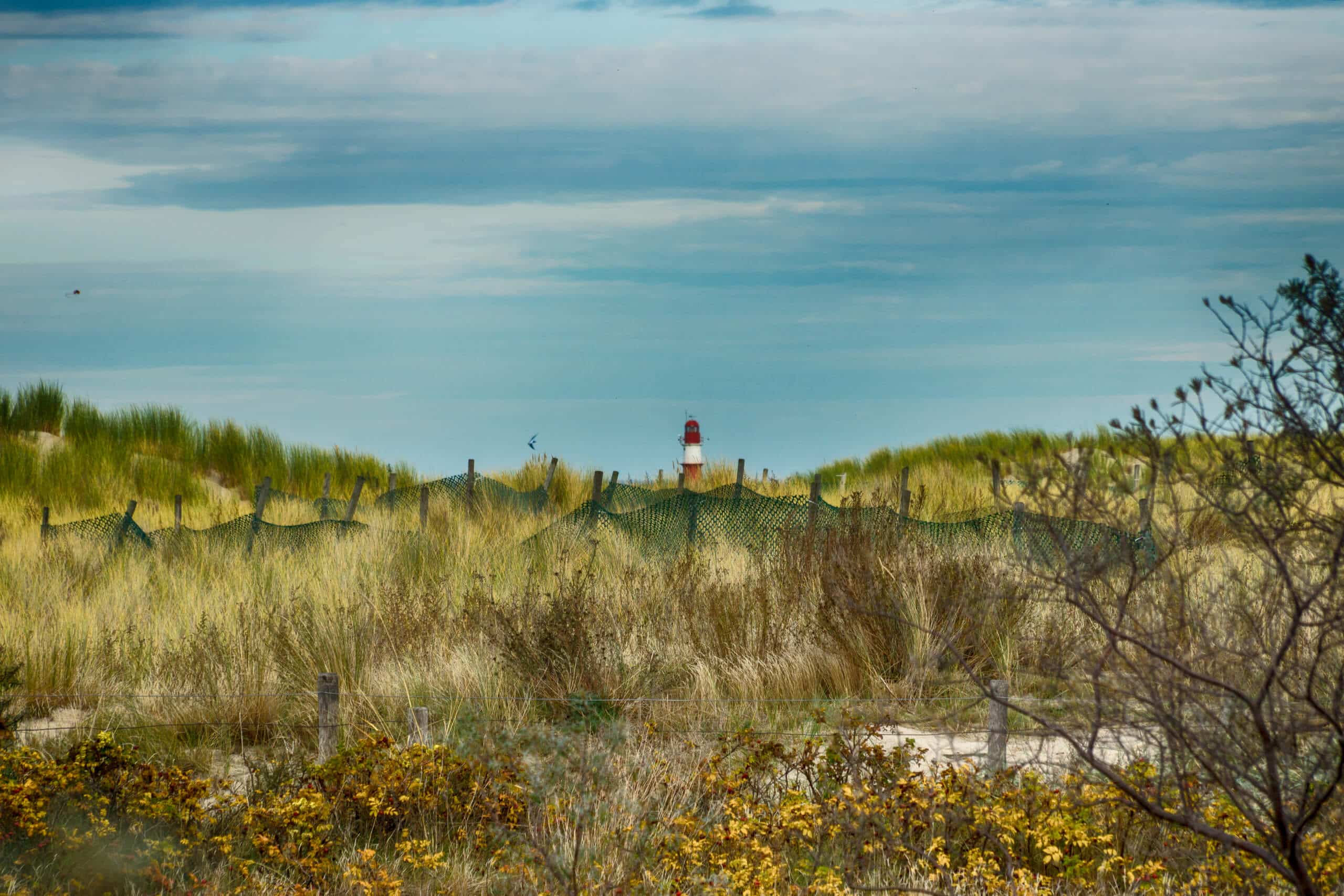 Dünen an der Ostsee