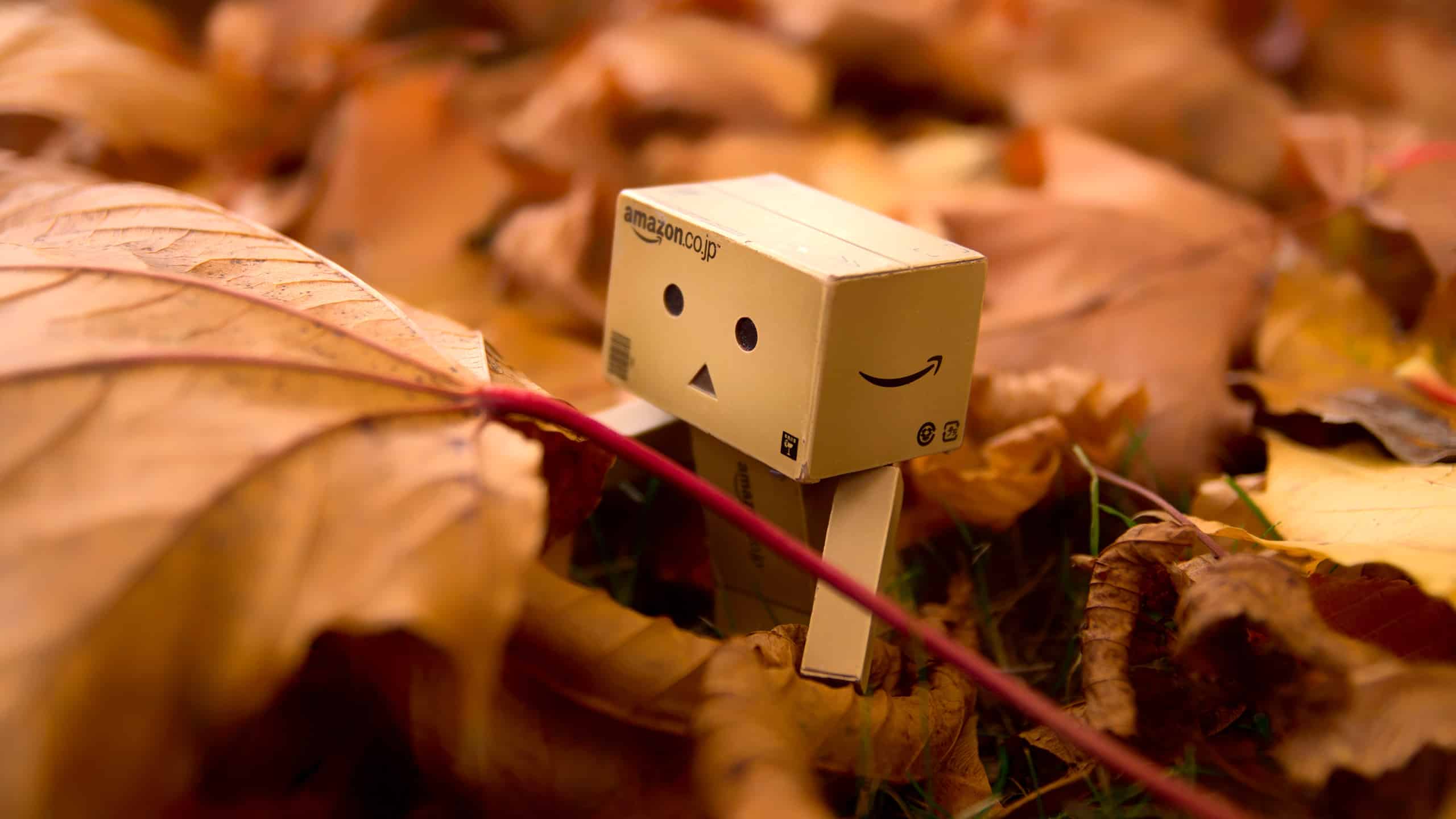Danbo Mini gefallene Blätter