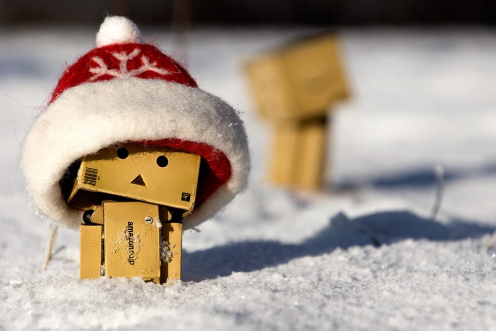 Danbo Mini stapft durch den Schnee