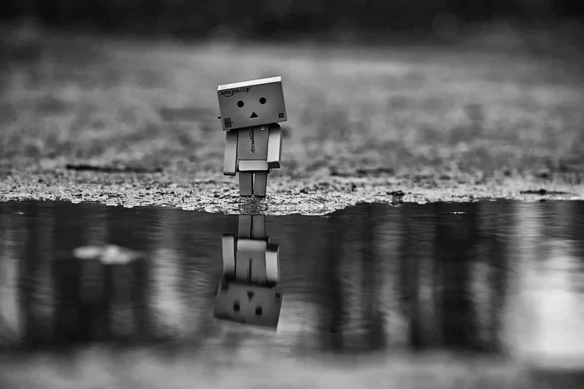 Danbo Mini im Regen