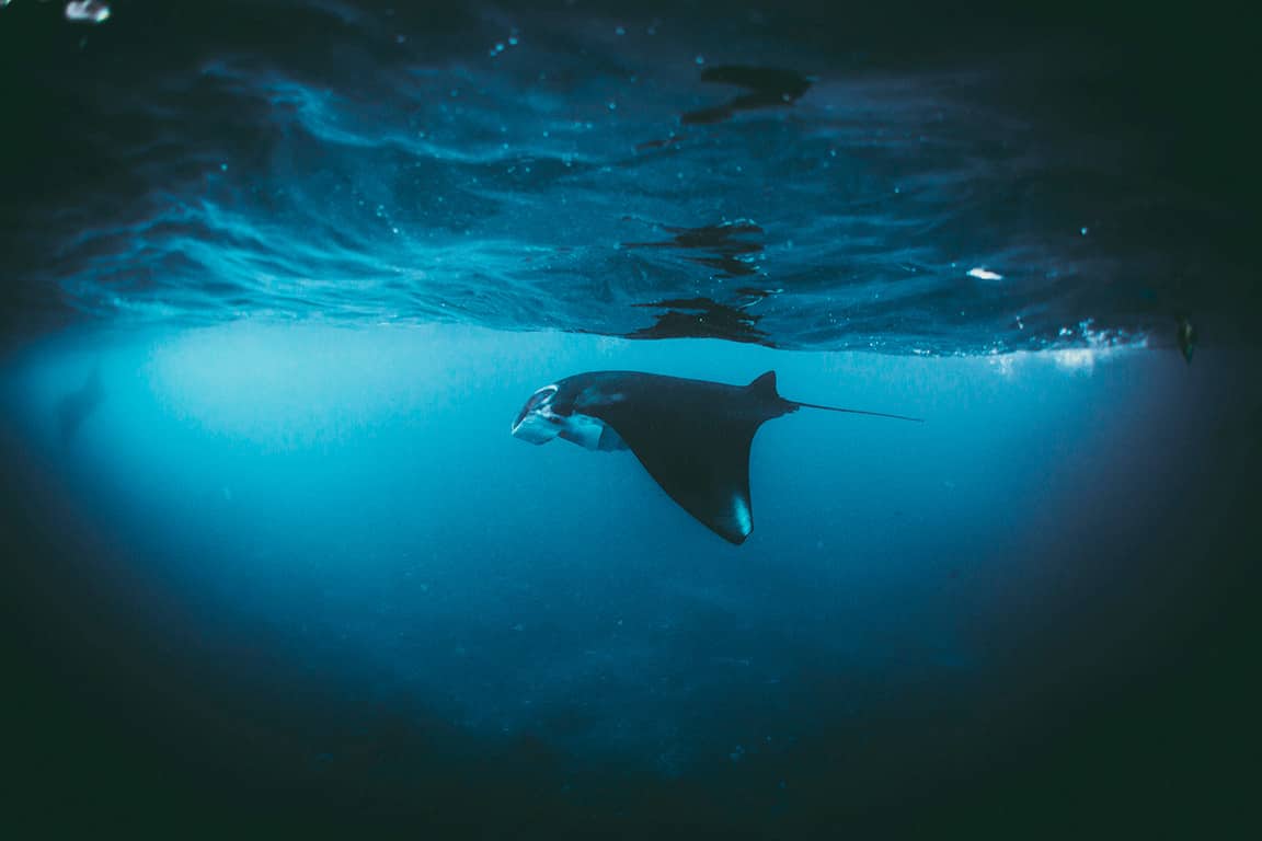 Jury vom Sony World Photography Awards 2017