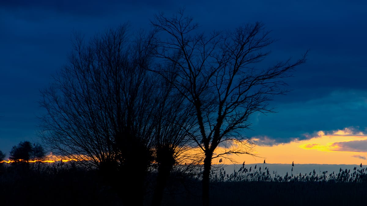 Blaue Stunde Bodstedt