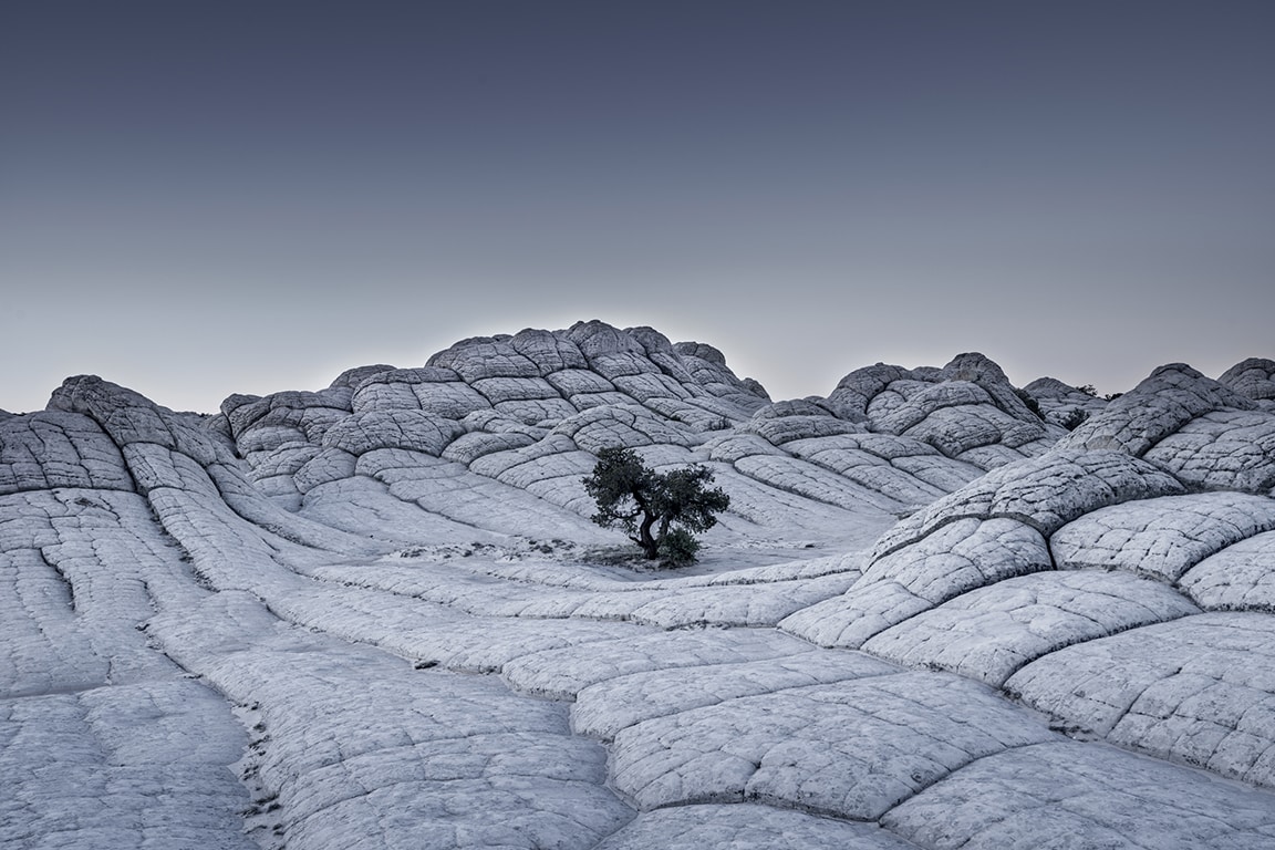 Sony World Photography Awards Tom Jacobi