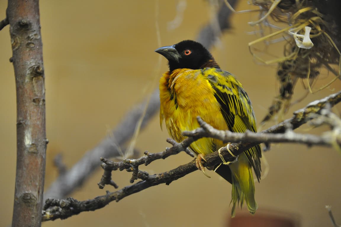 GEO-Tag im Zoo Rostock