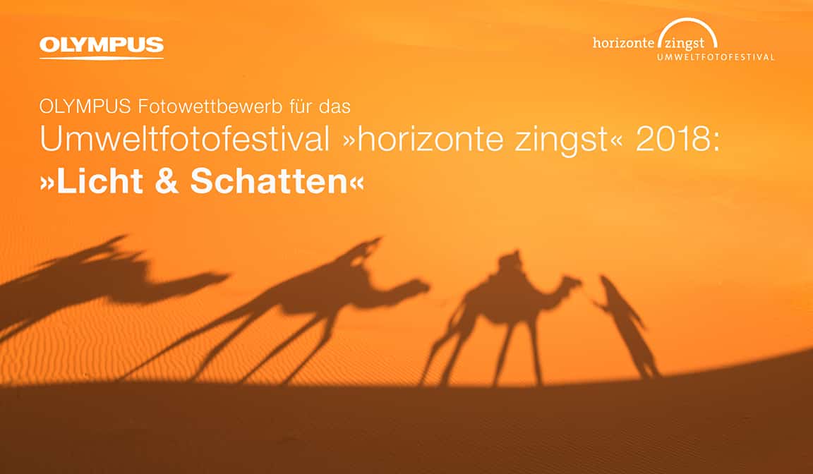 Olympus Fotowettbewerb 2018