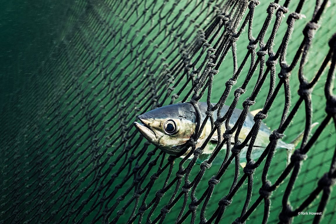 Multivisionsshows 2018 in Zingst