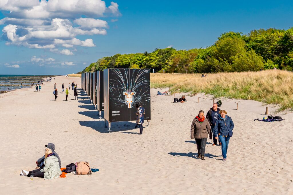 XXL-Foto-Ausstellungen in Zingst Begehbare XXL-Fotoausstellung am Strand von Zingst – Outdoor-Galerie beim Umweltfotofestival „horizonte zingst“